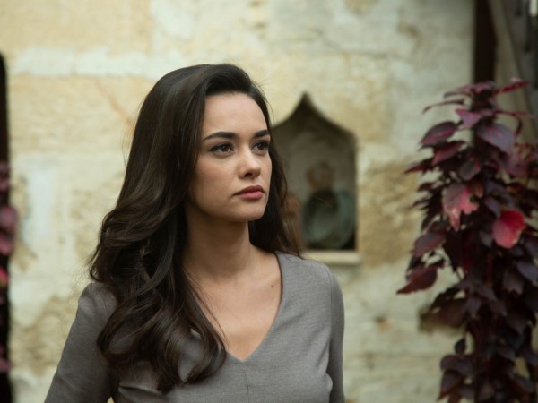 Горечь печали, сладость любви (4)