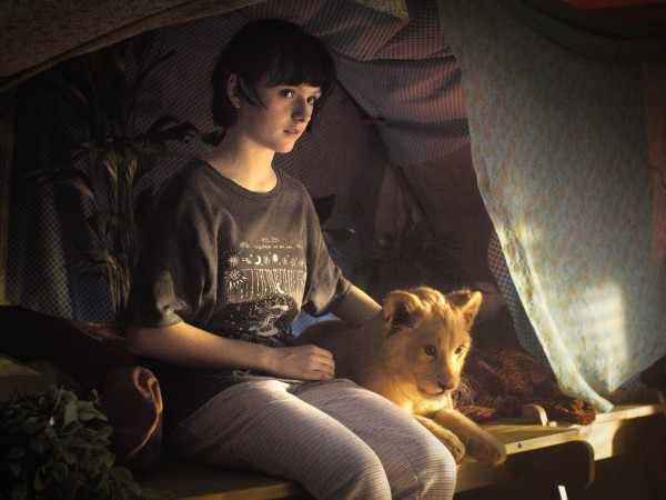 Король-львенок (5)