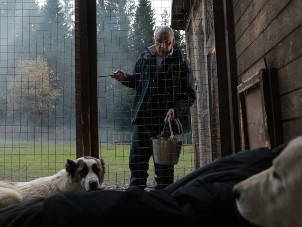 Сердце мира (4)