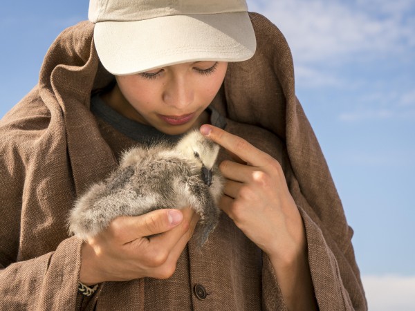 Расправь крылья (3)