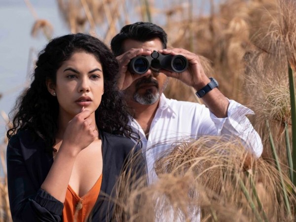 Профессионалы (6)