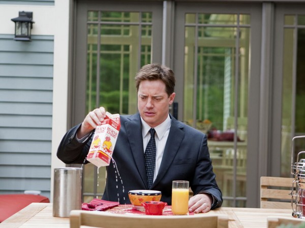 Месть пушистых