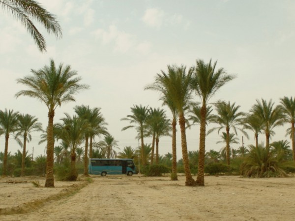 Позывной Барон (6)