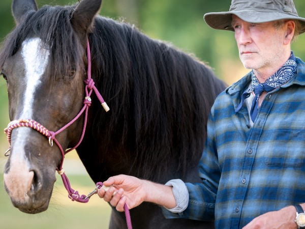 Дикое сердце (4)