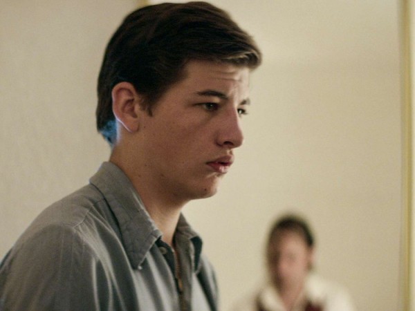 Комедиант (5)