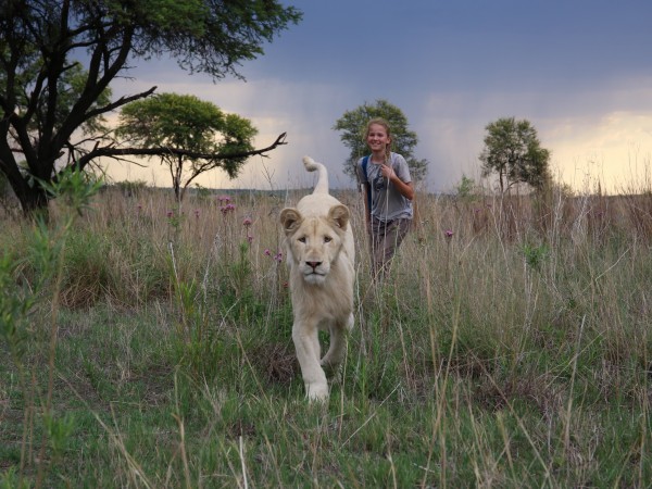 Миа и белый лев (3)