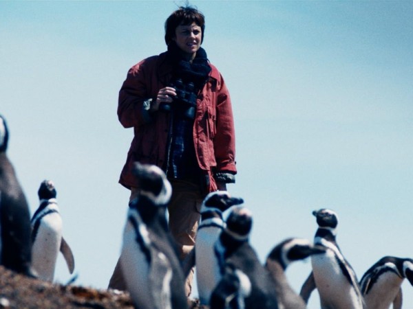 Мой пингвин (6)