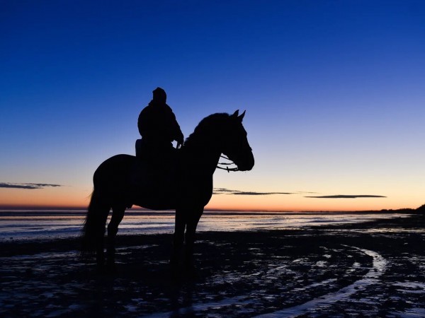 Чингачгук (5)