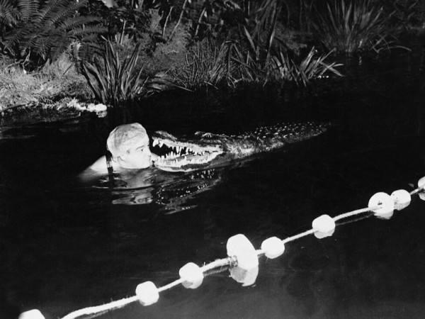 Африка зовет (5)