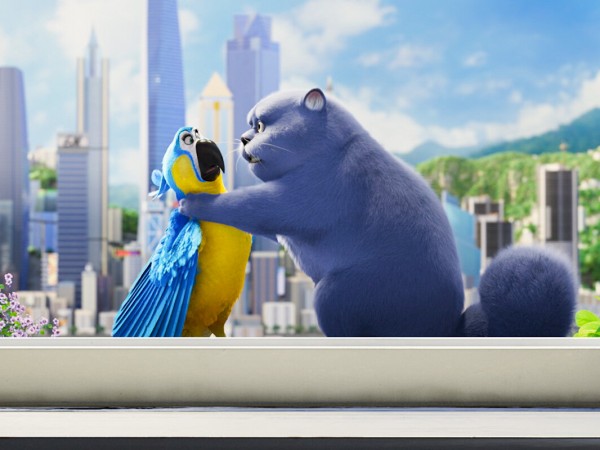 Большой кошачий побег (5)