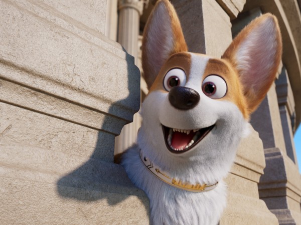 Королевский корги