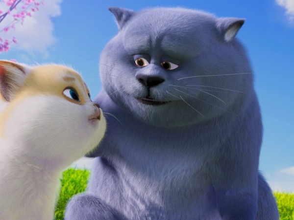 Большой кошачий побег (3)