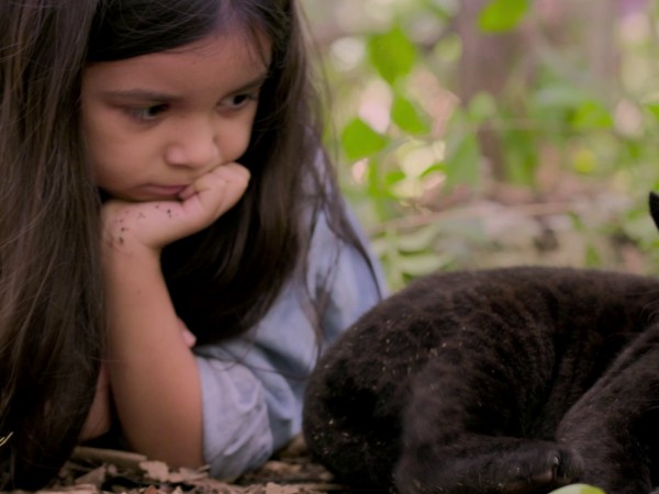 Элла и чёрный ягуар (3)