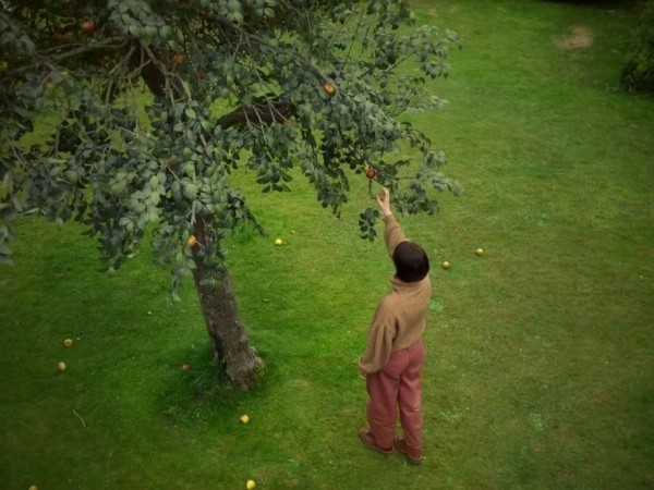 Род мужской (2)