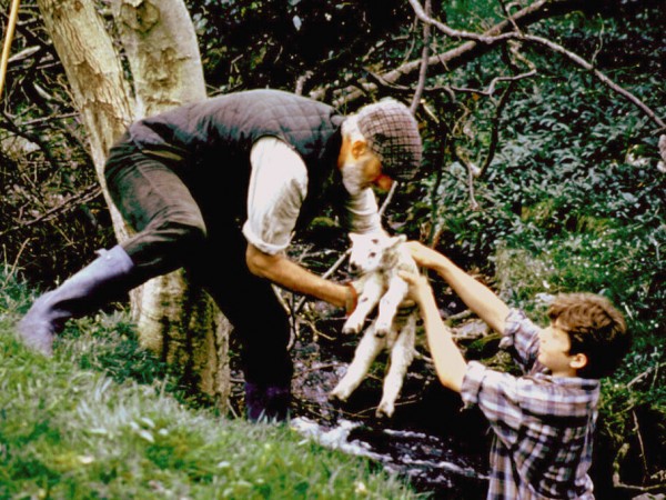 Старина Боб (3)