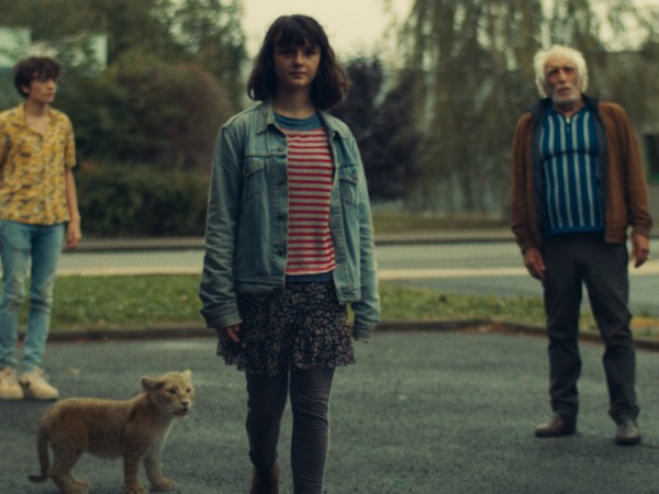 Король-львенок (3)