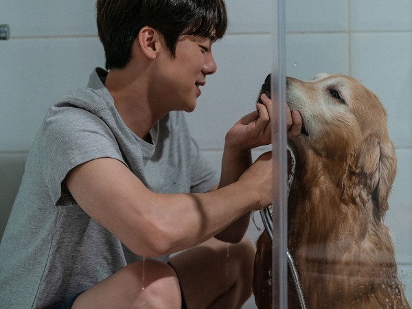 Мой пес Руни (5)