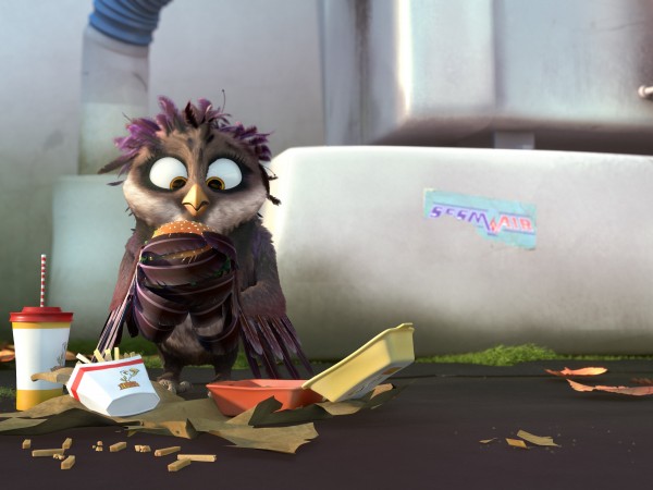 Трио в перьях (2)