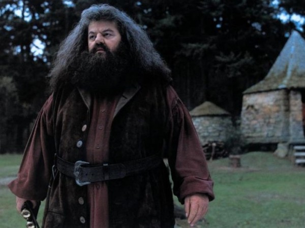 Гарри Поттер и философский камень (5)