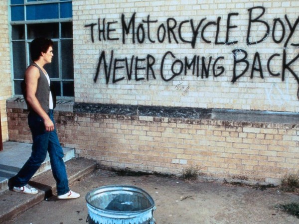 Бойцовая рыбка (2)