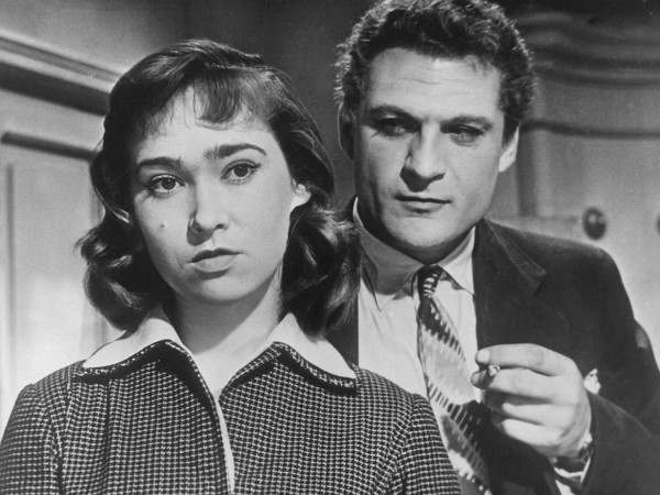 Шумный день