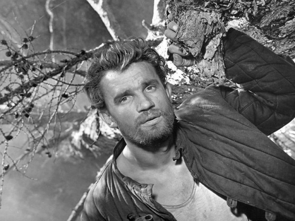 Неотправленное письмо (5)