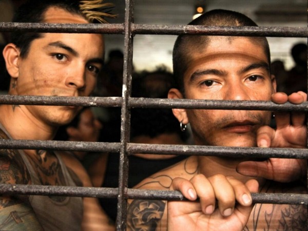 Весёлые каникулы