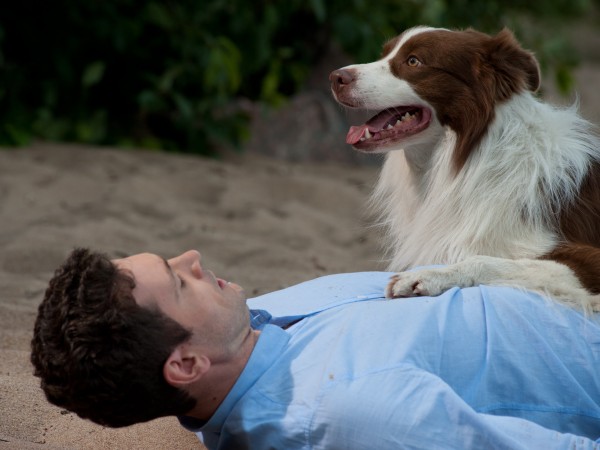 Хроника гнусных времен (4)