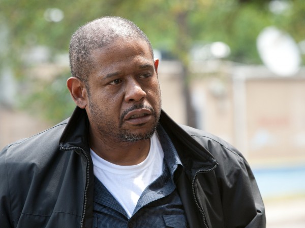 Фрилансеры