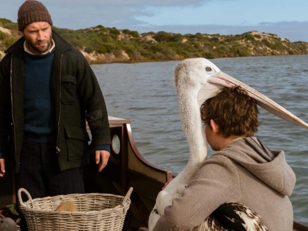 Мой друг мистер Персиваль (3)