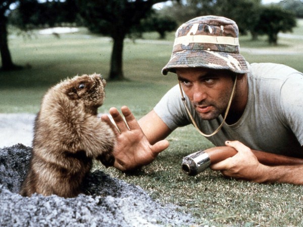 Гольф-клуб (5)