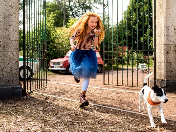 Маленькая мисс Дулиттл (3)