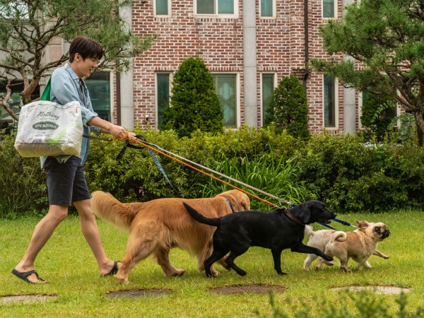 Мой пес Руни (6)