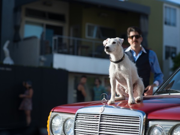 Его собачье дело (4)