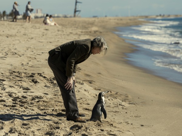 Школа мистера Пингвина (6)