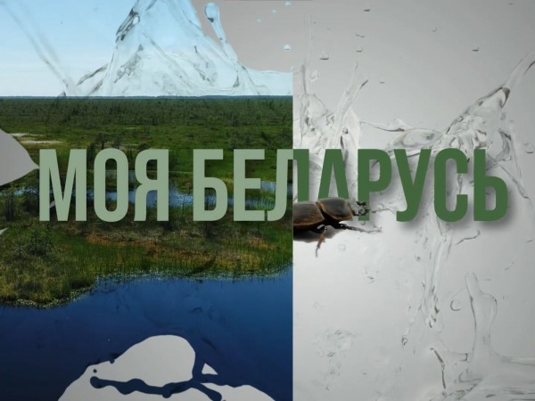 Моя Беларусь