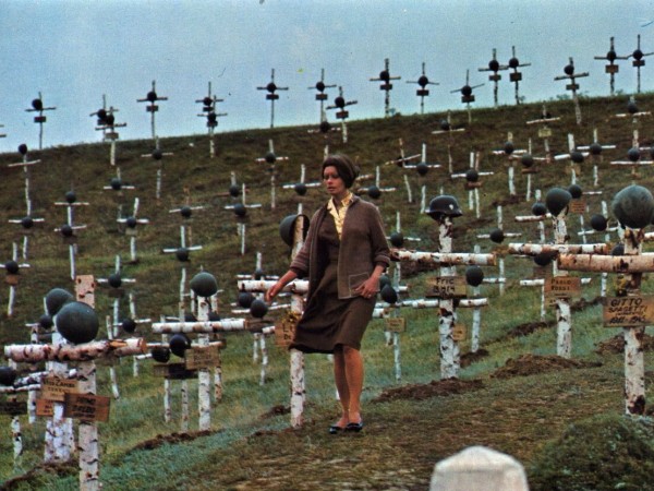 Подсолнухи (2)