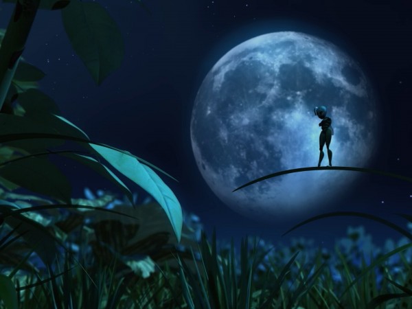 Прыг Скок в поисках сокровищ (2)