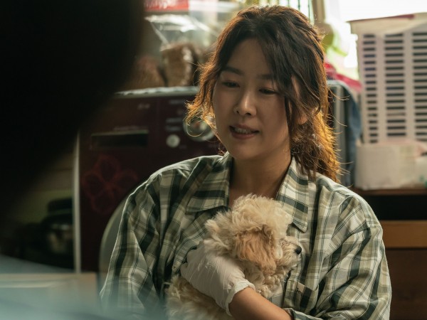 Мой пес Руни (3)