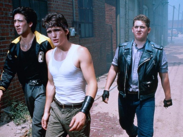 Бойцовая рыбка