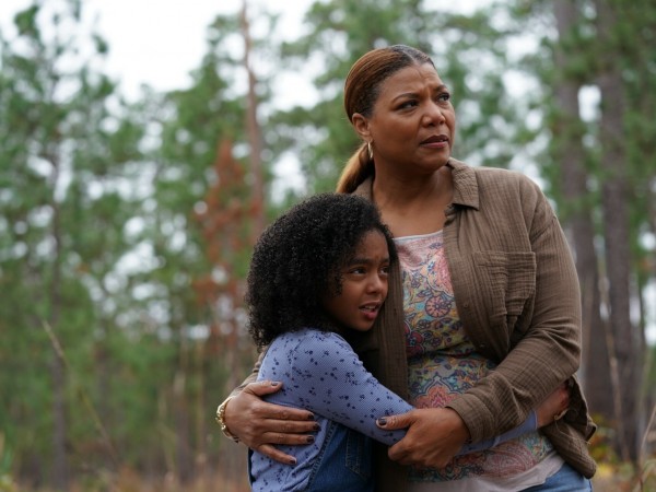 Парящий тигр (5)