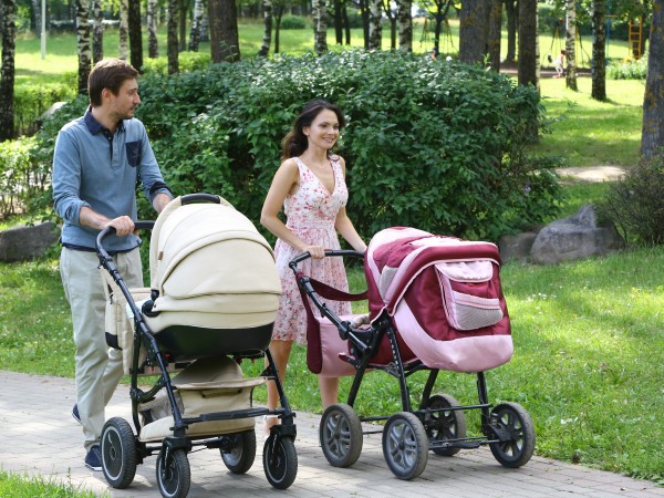 Привет от аиста