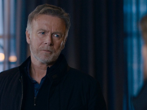 Кот и пёс (6)