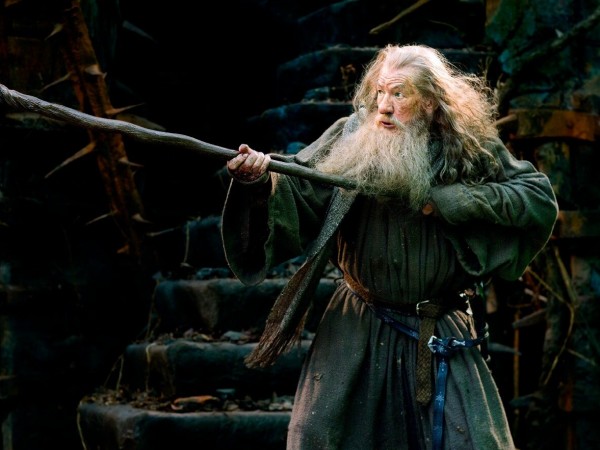 Хоббит: Пустошь Смауга (3)