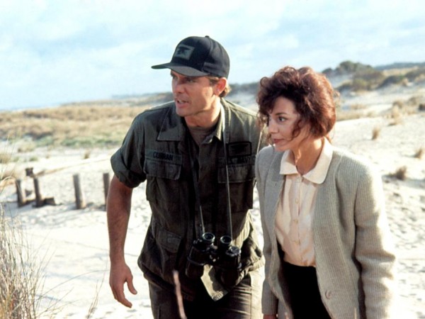 Морские котики (5)