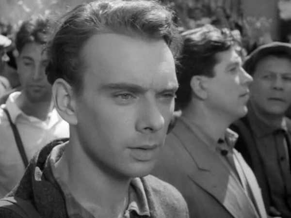 Летят журавли (5)