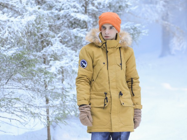 Ёлки новые (2)