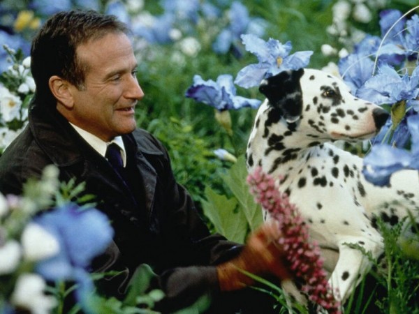 Куда приводят мечты (6)