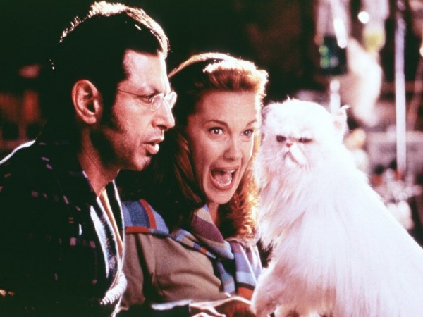 Кошки против собак (4)