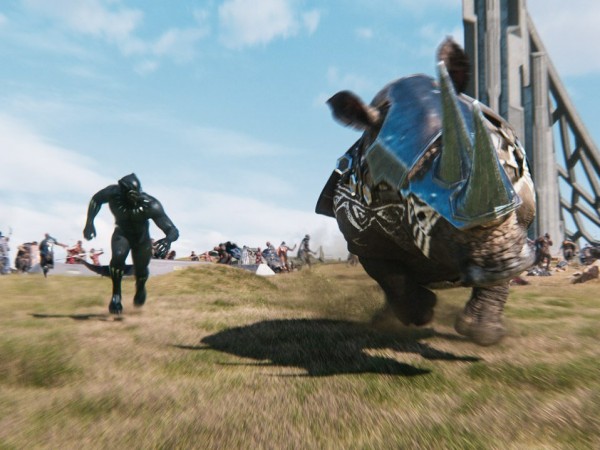 Чёрная Пантера (6)